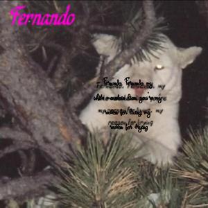 Fernando