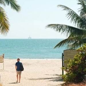 夏日海滩的难忘伙伴