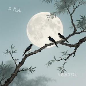 明月别枝惊鹊