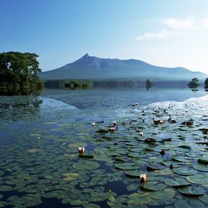 葡萄成熟时-旧时月色（吴浩 remix）