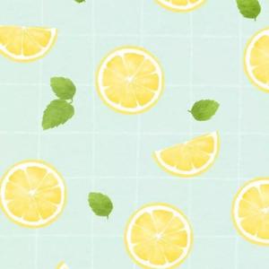 醉清风（纯音乐）（翻自 弦子）