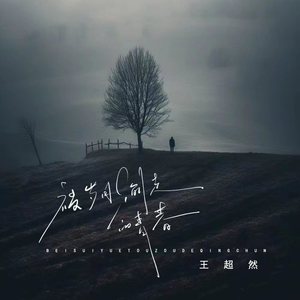 被岁月偷走的青春