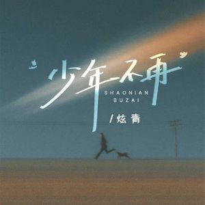 少年不再