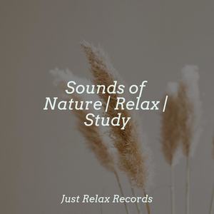 Pulsating Rhythmic Journey