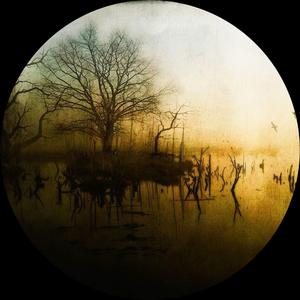 Dream at Night (Coeter One Remix)