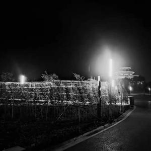 灰【(Prod. 4_Chords，Cheeze】