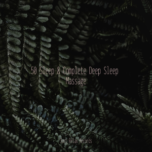 Unleashed Beat Blitz