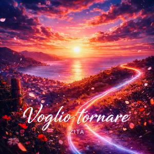 Voglio tornare (Remix)