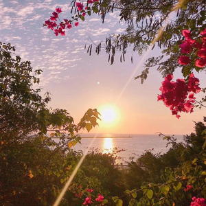 The Chainsmokers / Various Artists-Don't Let Me Down .wav（Galati remix）