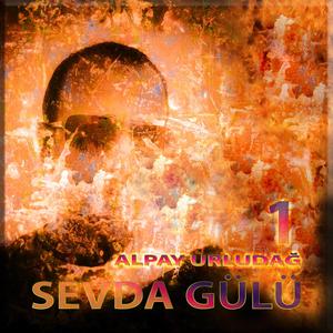 Sivrisinek Aşkı S1A