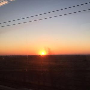 南方（Cover 达达）