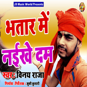 Bhatar Me Naikhe Dam