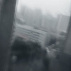 肮  脏  的  现  实