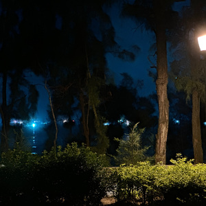 这城市欠我一场雪，而你欠我一句告别