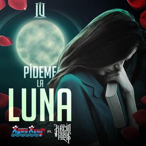Pideme La Luna