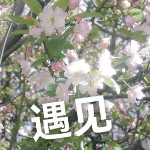 昂首阔步