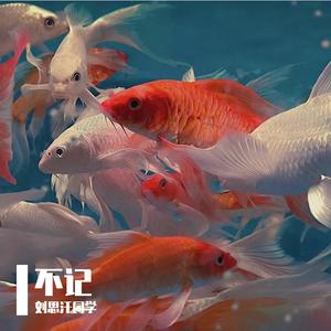 不记（2016.4.19）