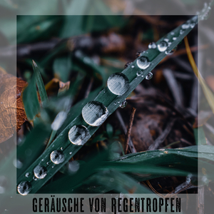 Prasselnder Regen am Fenster