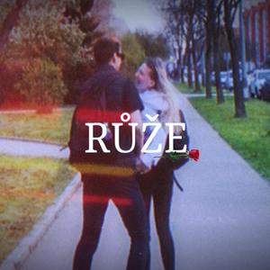Růže
