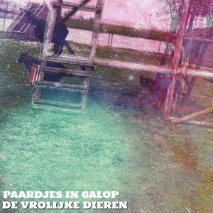 Paardjes in Galop