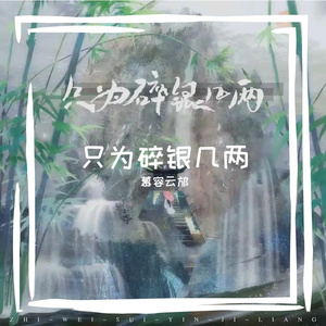 只为碎银几两