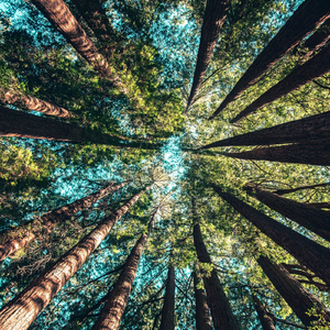 Space Phone Relaxing Tone