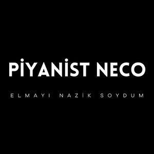 Elmayı Nazik Soydum