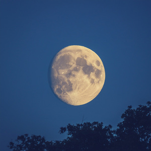 Terapia Melódica Para Una Noche Tranquila