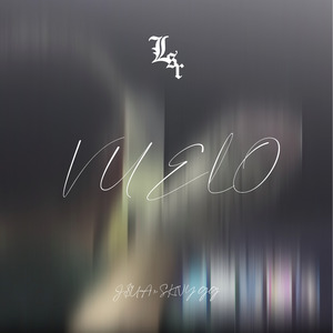 Vuelo
