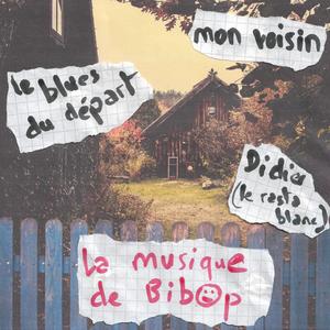 Didier (le rasta blanc)