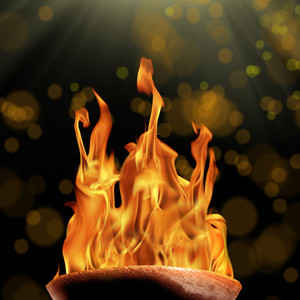 Firelight's Lotus Dreams