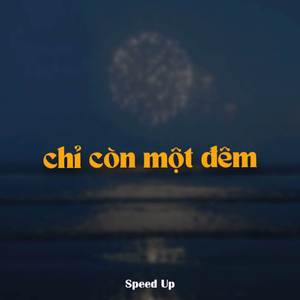 Chỉ Còn Một Đêm (Speed Up)