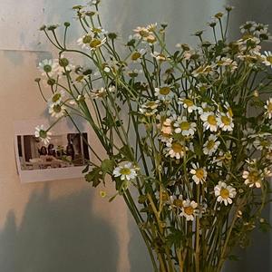 远航（Prod by 张杰峻）