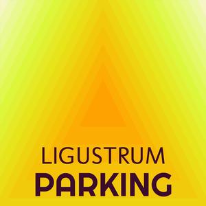 Che Wholeheartedness