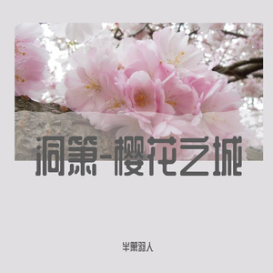 樱花之城-箫版