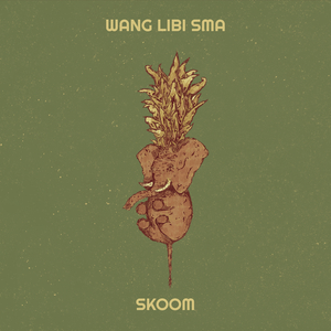 Wang Libi Sma