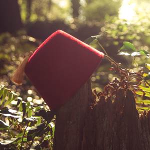 Windrose (Compass Remix from "TESSERACT: An Acoustic FEZ Album")