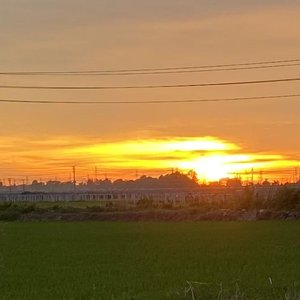 梦(纯音乐 助眠)