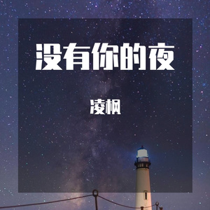 没有你的夜