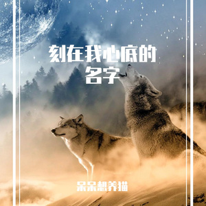 刻在我心底的名字