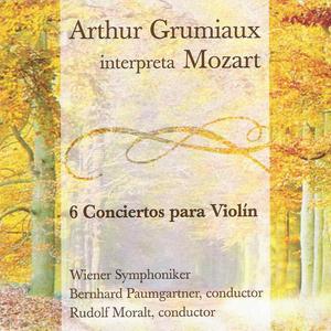 Concierto No.2 para Violín en Re Mayor K211 - I. Allegro Moderato