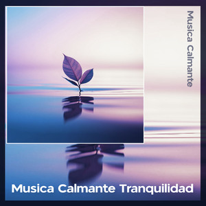 Instrumentista Tranquilidad