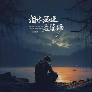 泪水洒进孟婆汤