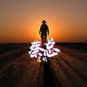 蔡总