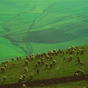 kickin / ultimatum (feat. foreiign)