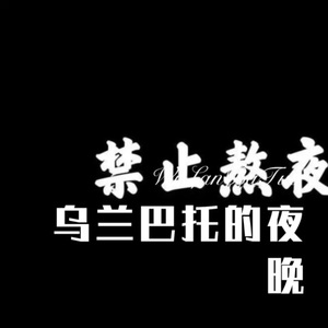 爱是上天的意外 (Remix)