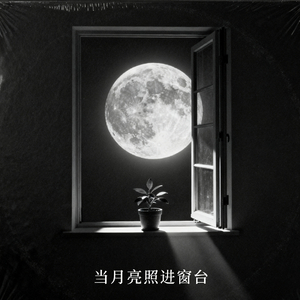 当月亮照进窗台(和声伴奏)