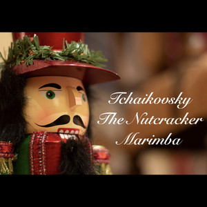 Nutcracker Suite, Op. 71a, TH. 35 (Arr. For Piano 4-Hands): llb. Danses caractéristiques. Danse de la Fée Dragée: Andante non troppo