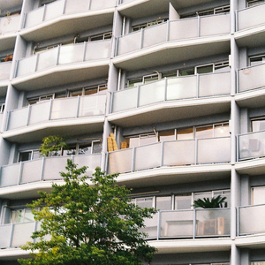 Looking for Lost Cats