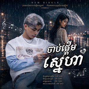 ចាប់ផ្ដើមស្នេហា